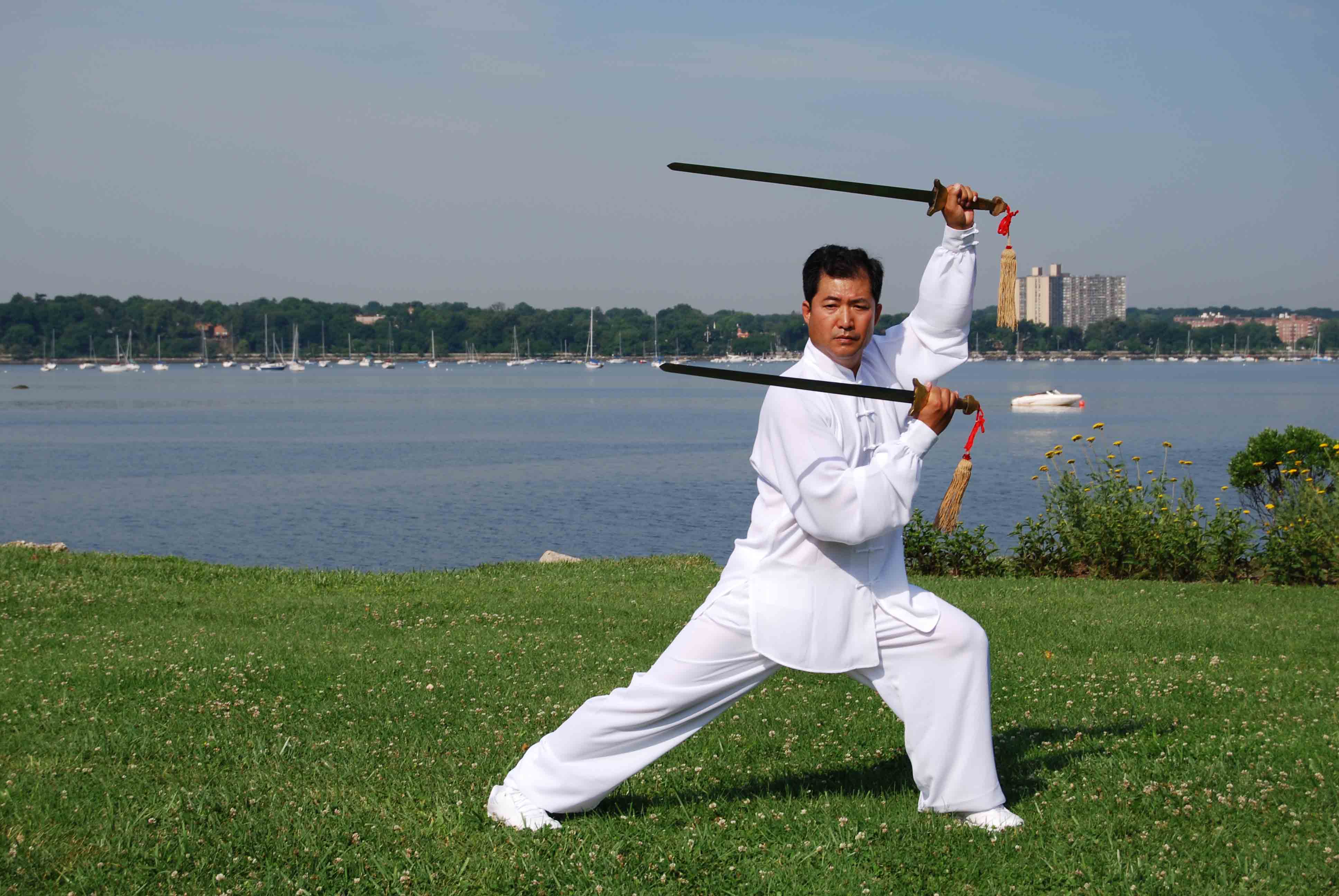 T'ai Chi Dual Sword